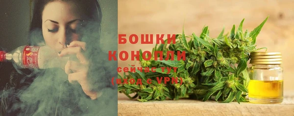 PSILOCYBIN Навашино