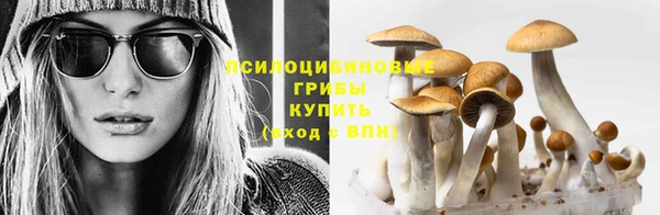 каннабис Михайловск